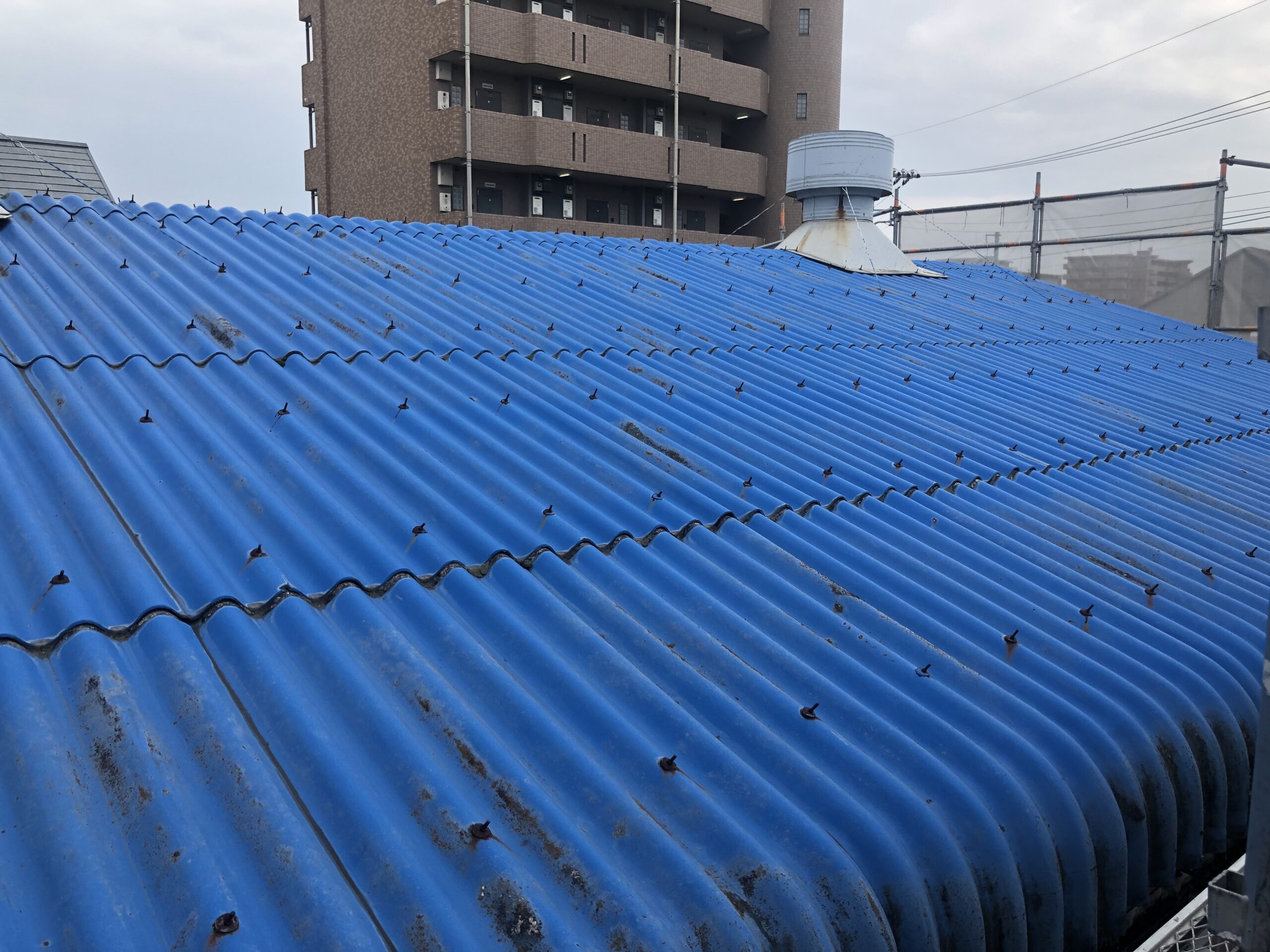 スレート屋根　外壁シャネリア