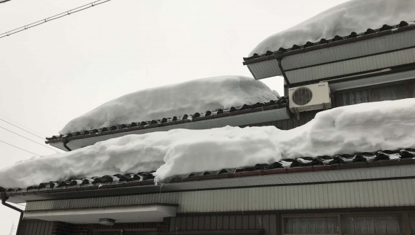 雪が積もった屋根