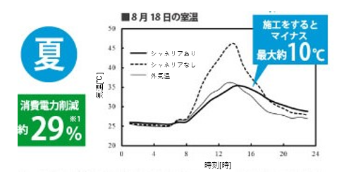 シャネリア　データ　夏