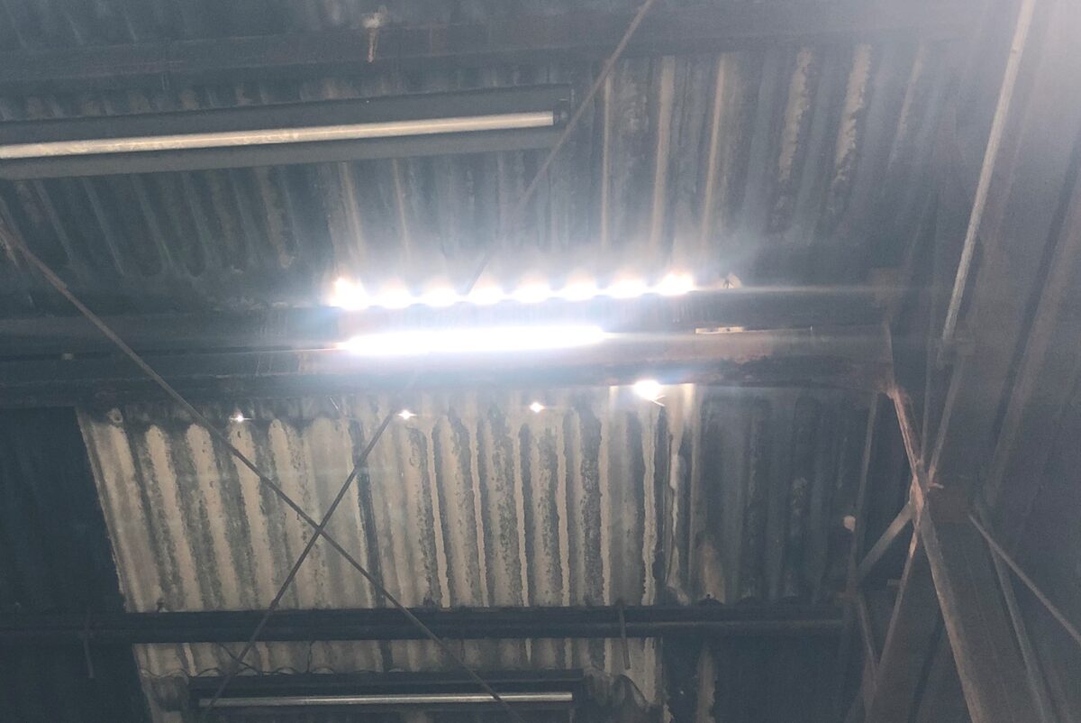 屋根　損傷　内側