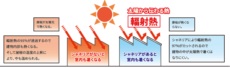 シャネリア　説明