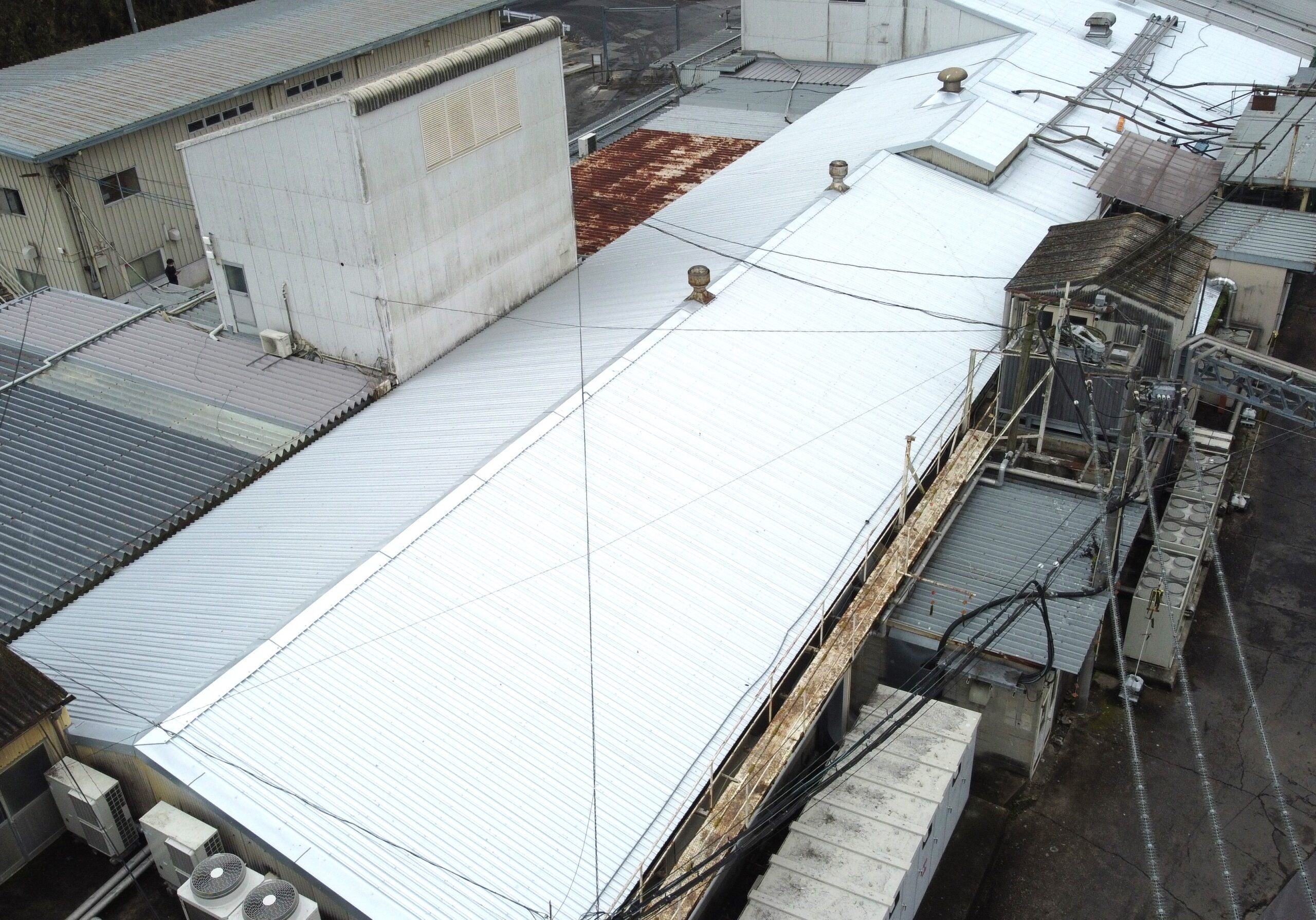 グリーンポートリー　完成1