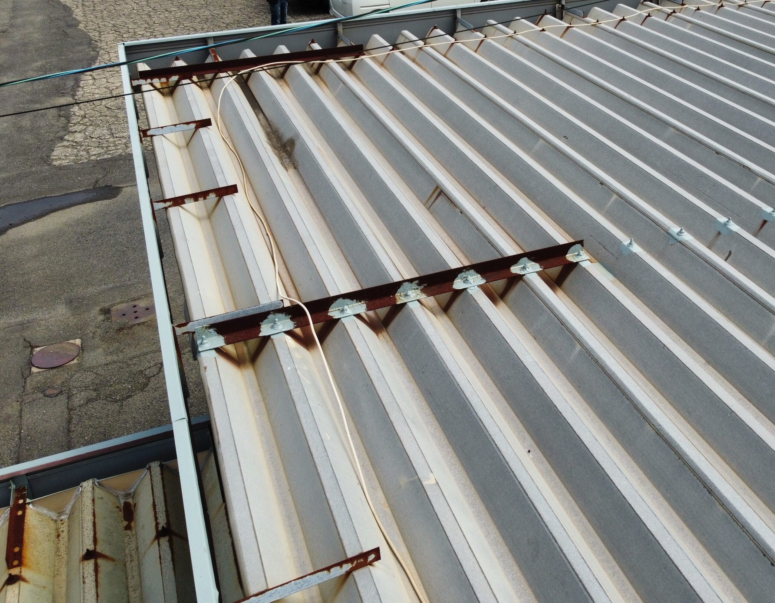 コーアディーゼル　妻アングル