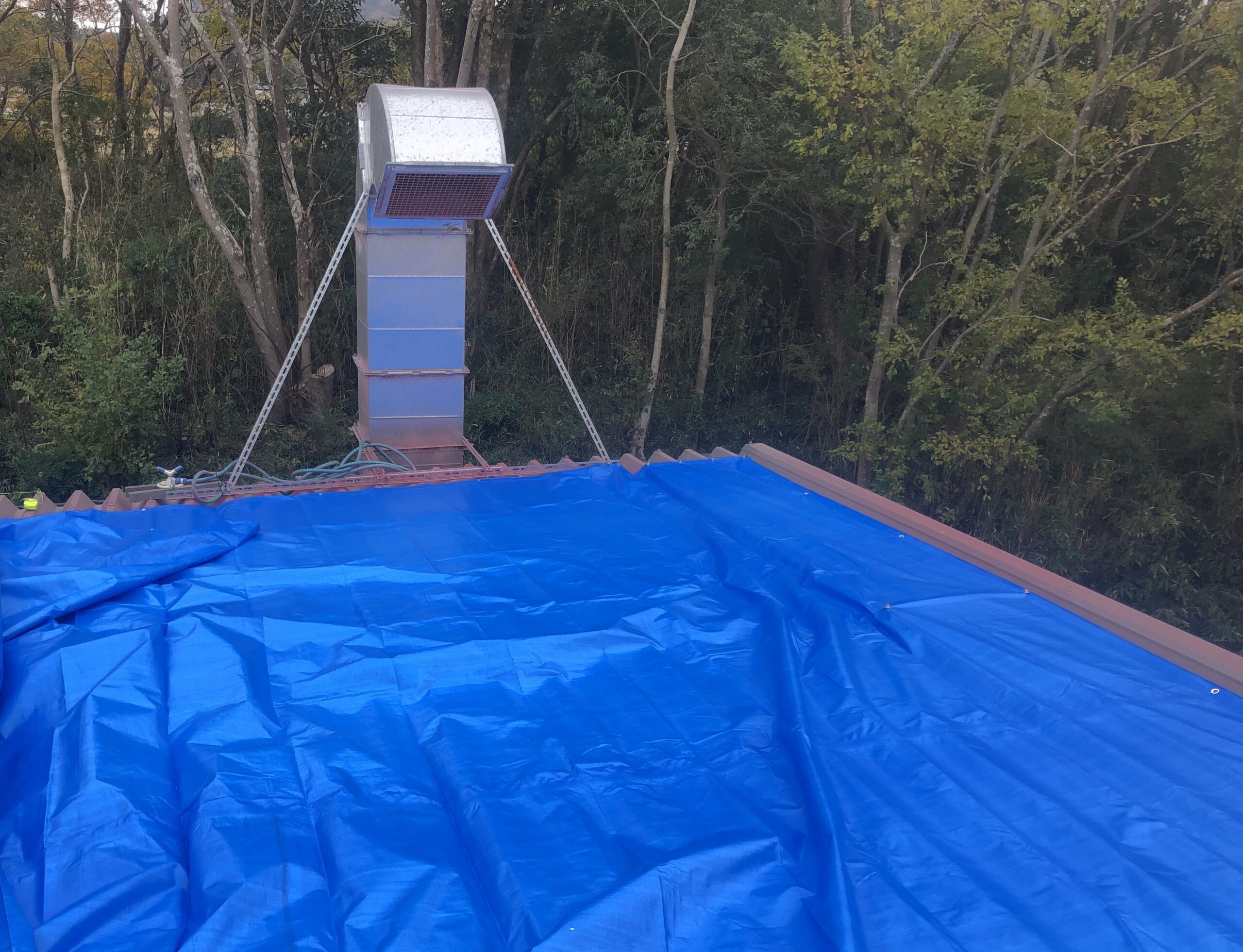 ビニール　保護