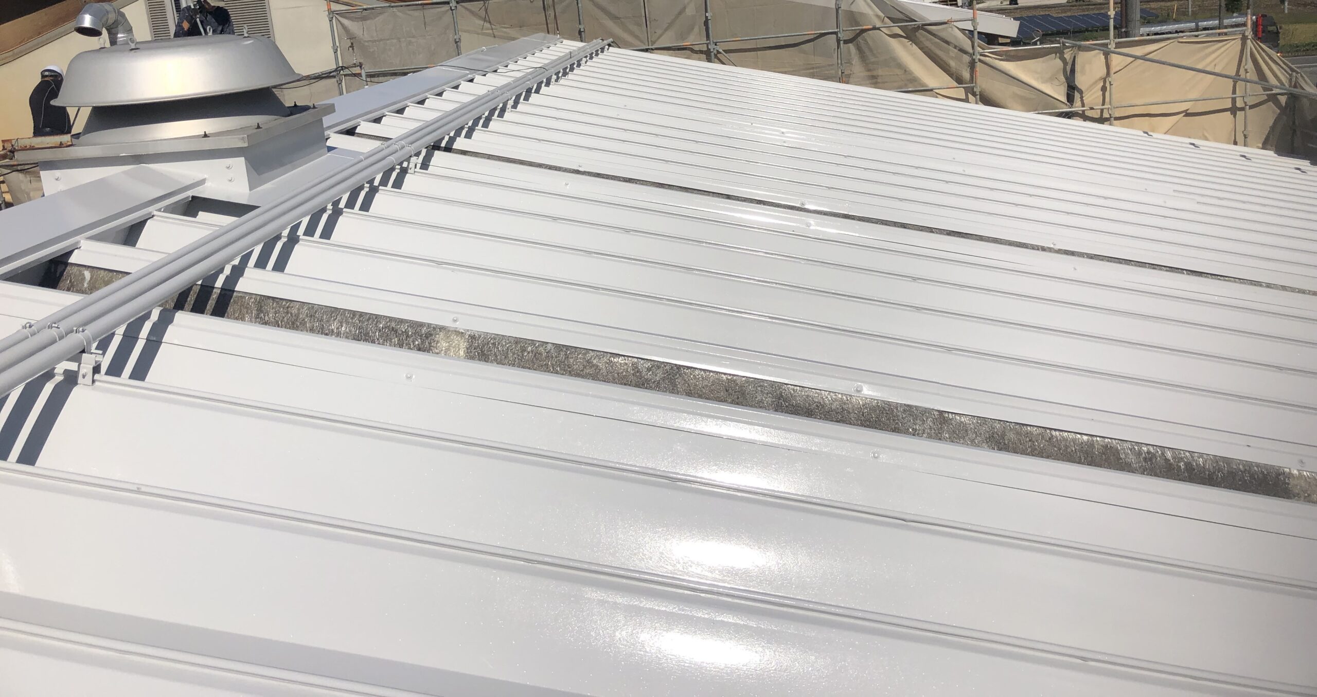 塗装　屋根　棟付近