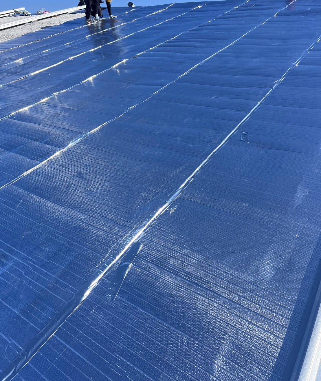 屋根　シャネリア